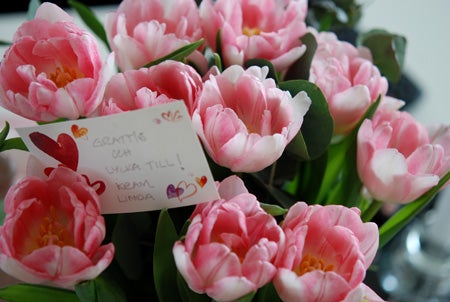 Av Linda fick jag dessa UNDERBARA tulpaner och gulligt grattis(till jobbet)kort! *TACK*