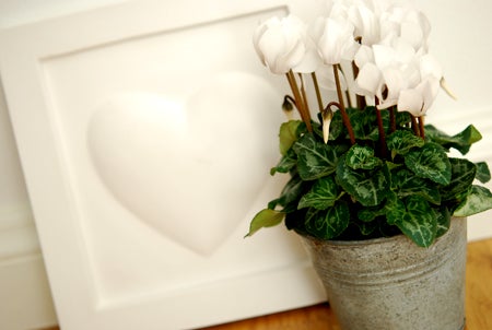 Vit gipstavla med ett hjärta och favoritblomman cyklamen!! ÄLSKAR cyklamen! :)