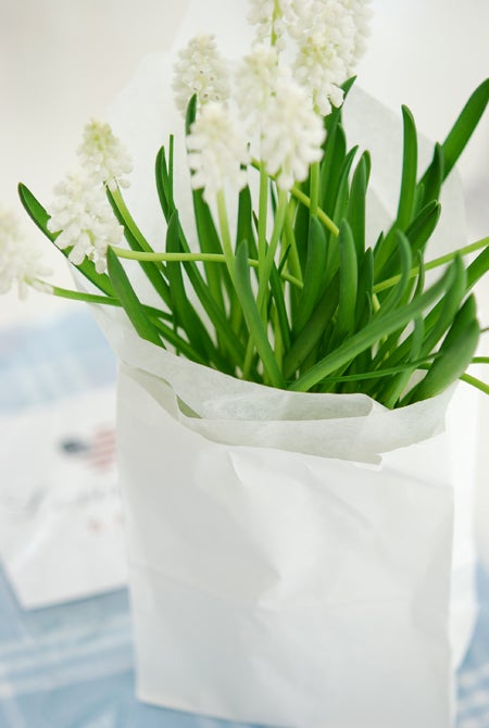 Fick även denna söta av Z/S. Ska plantera såna här i trädgården nånstans, de är ju så söta!!