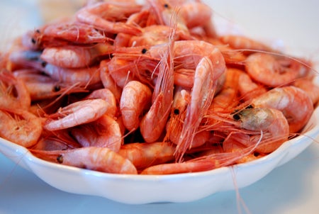 Färska räkor. Vit Ostronskål från Mateus (Nice presenter, Marieberg)