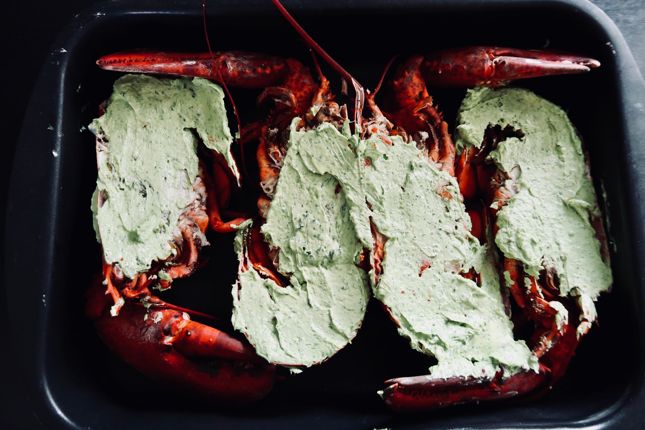 Dd2280b1 85f3 4233 8001 8dd24616a9a8