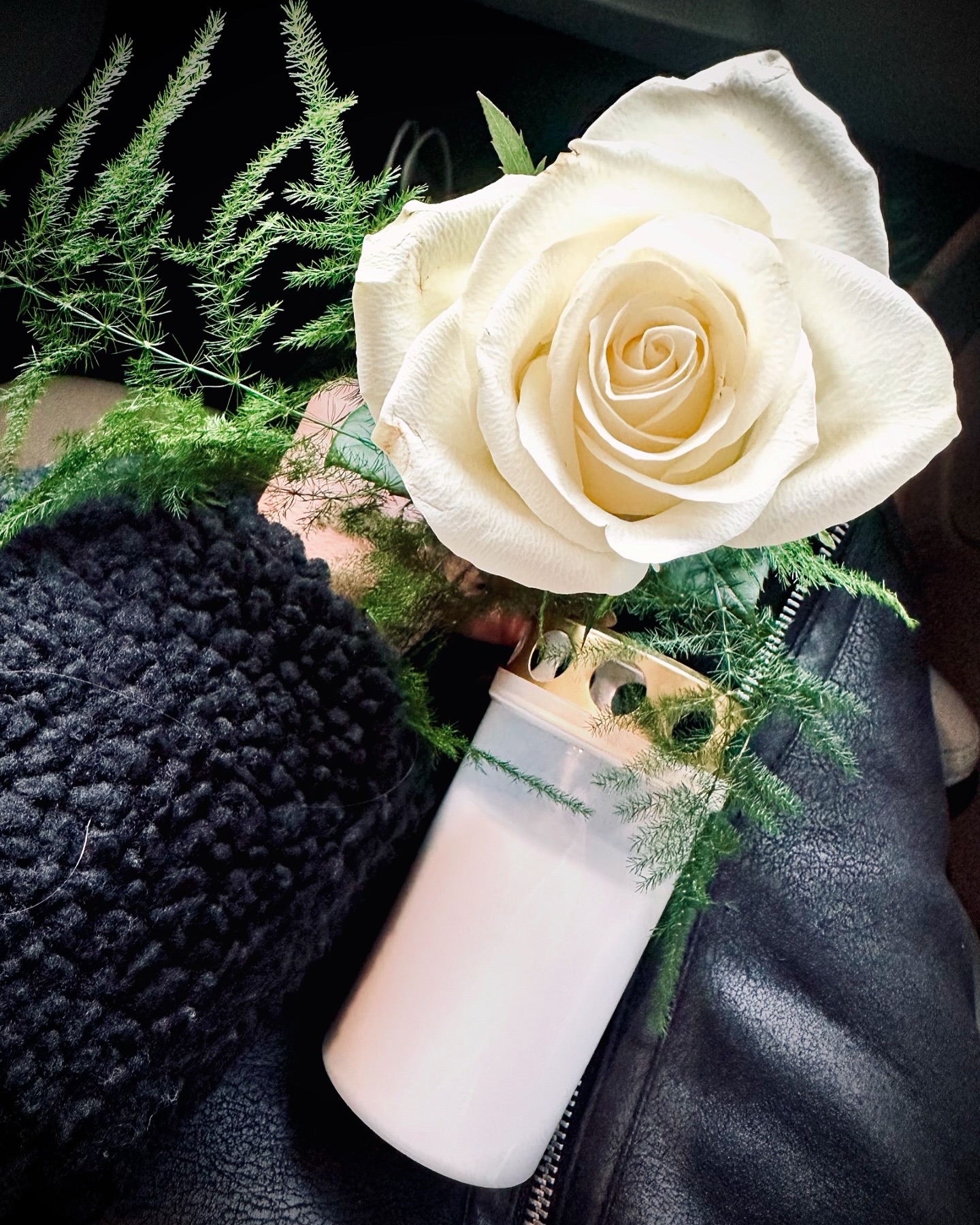 0a50f360 5b2e 4825 bcb7 588eb29d43ff 1.jpg