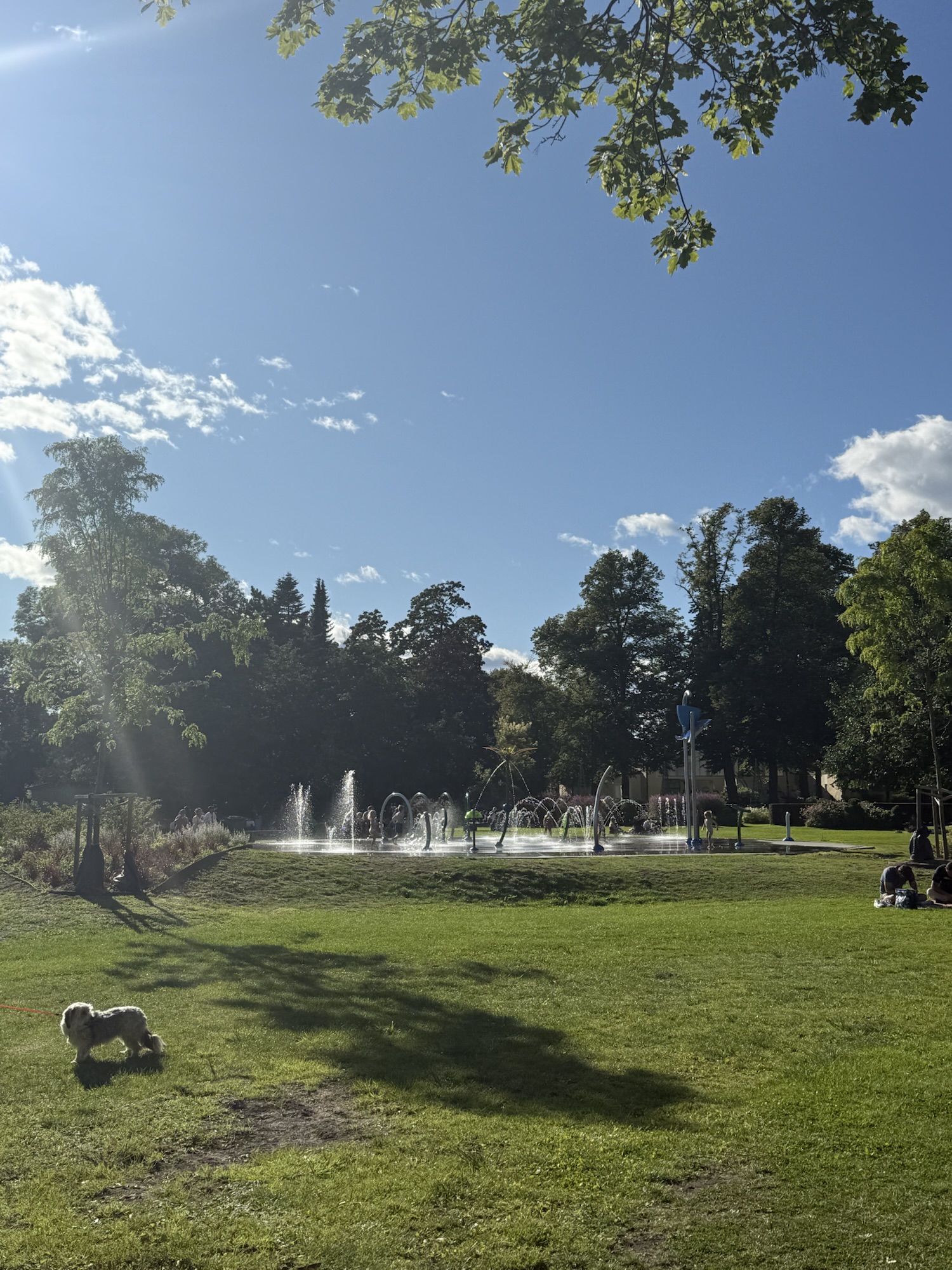 Stadsparken Örebro nära matmarknad