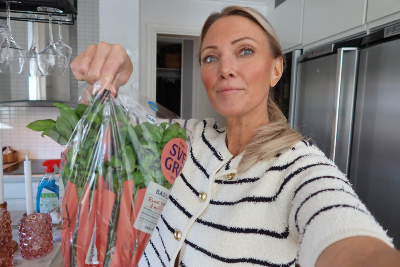 Färsk basilika i kruka