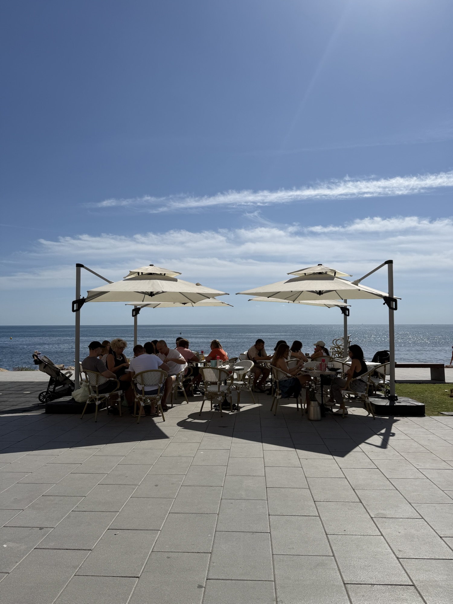 Promenad längs palmkantad strandpromenad i Torrevieja