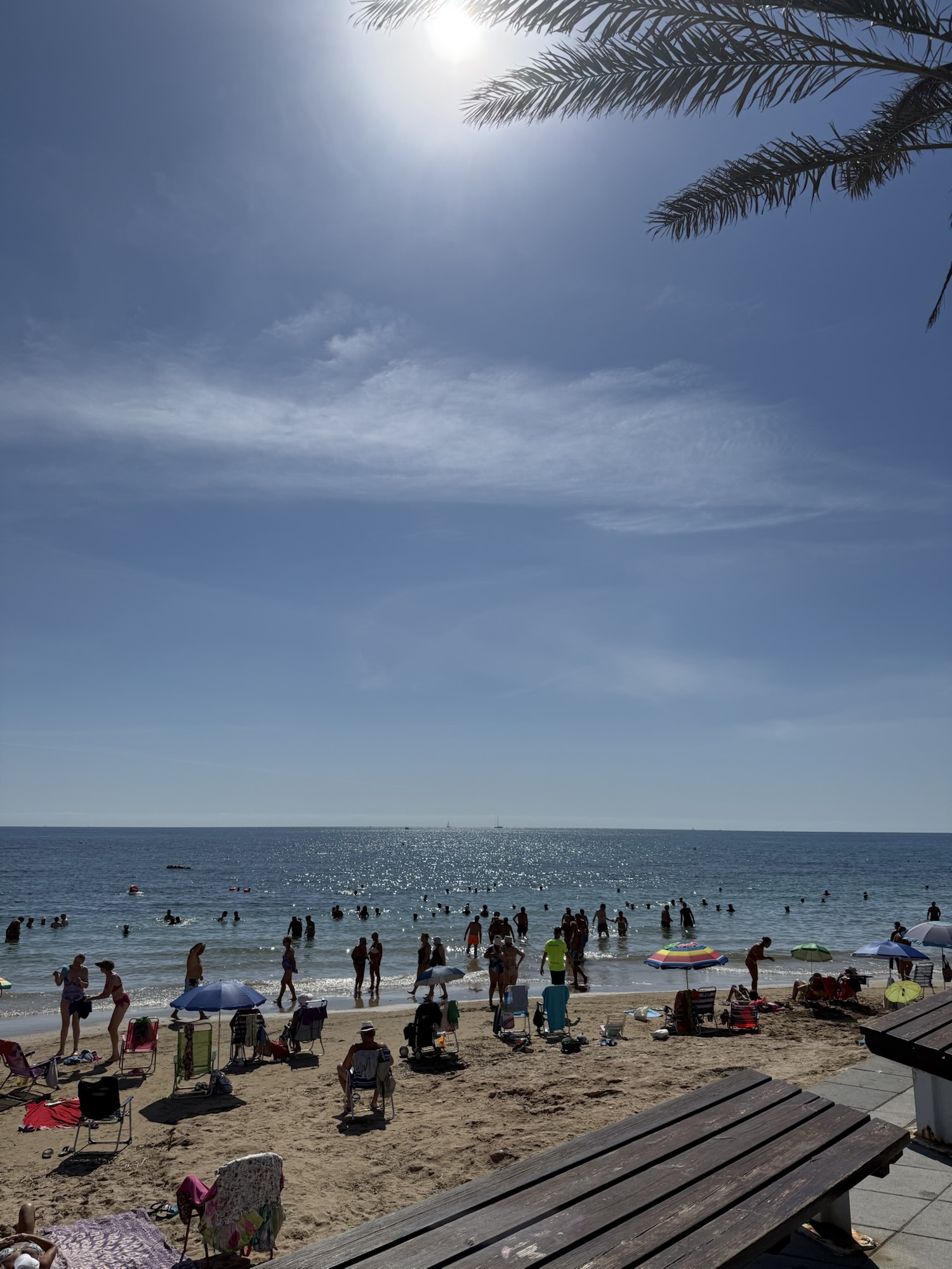 Siesta i skuggan med palmer i Torrevieja