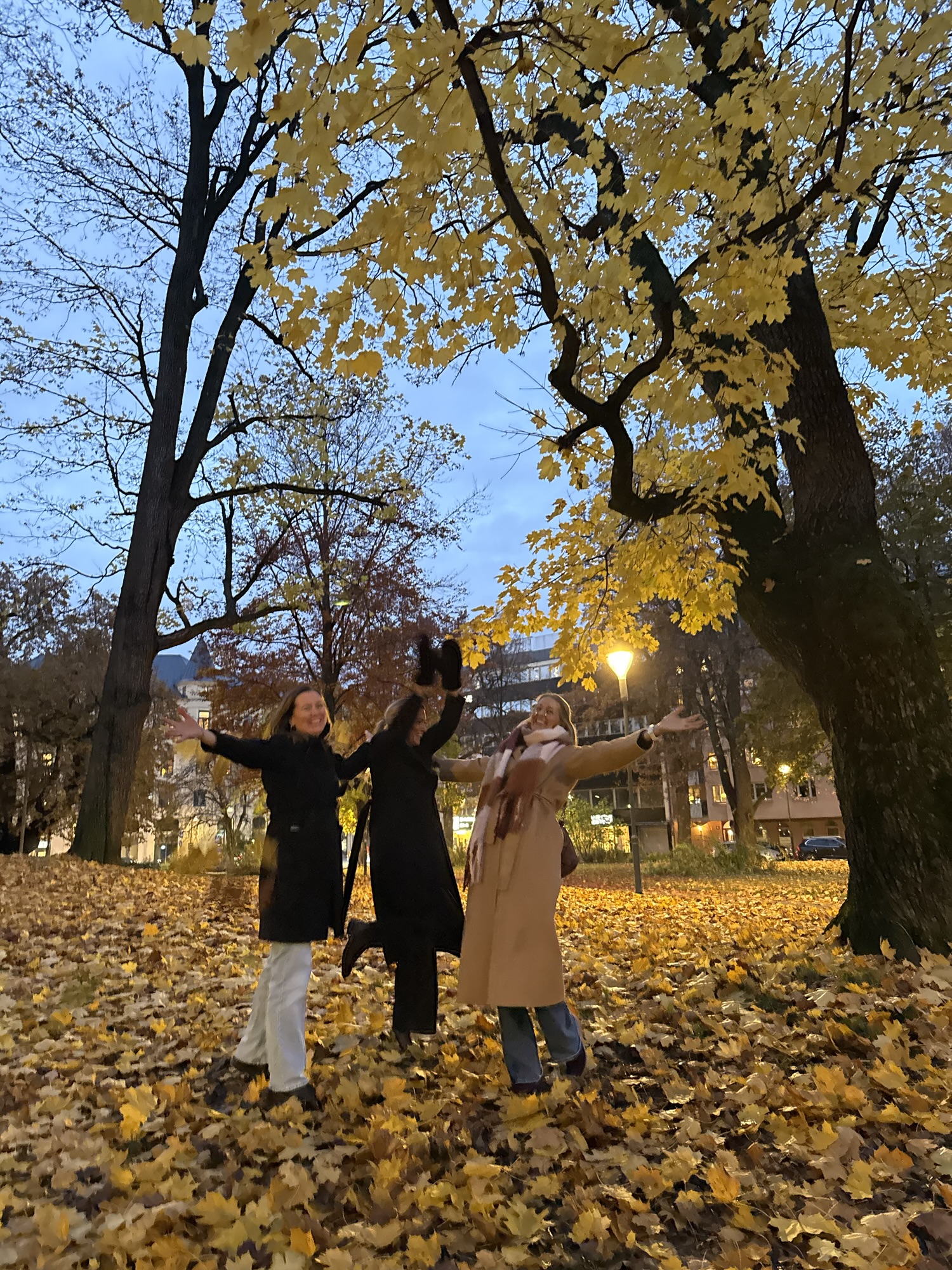 God mat och dryck under Moveat