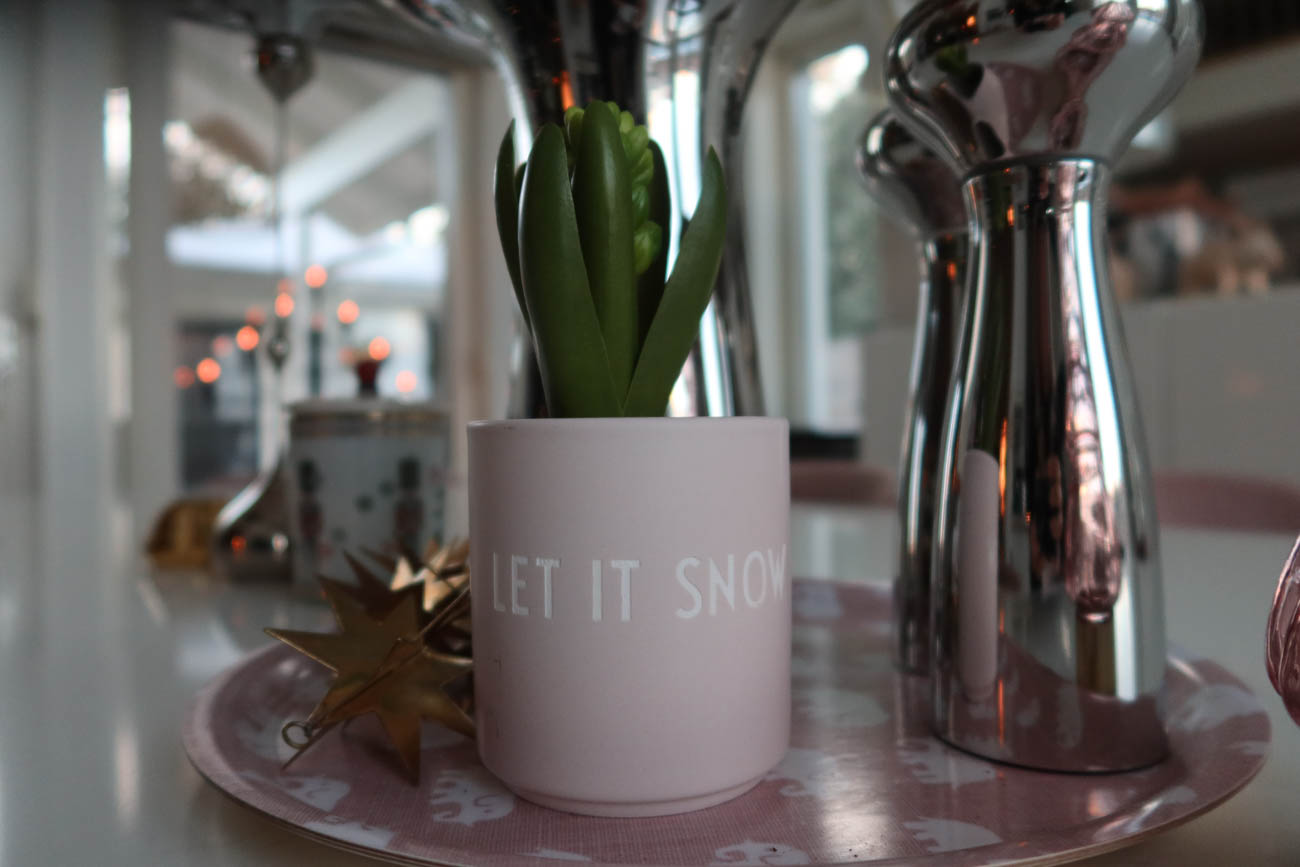 Närbild på frost i trädgården i Örebro